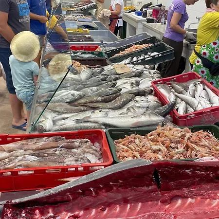 Vakantiehuis Serenity Countryside Mobile